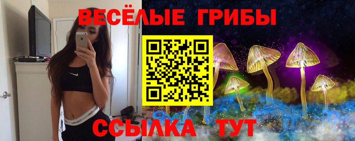купить  сайты  Вход с VPN  Томск  Галлюциногенные грибы Cubensis 