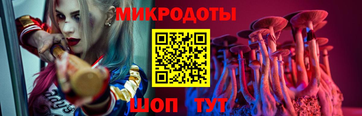 Галлюциногенные грибы Magic Shrooms Томск